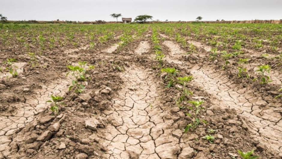 La Niña está por llegar a la Argentina: se esperan fuertes sequías