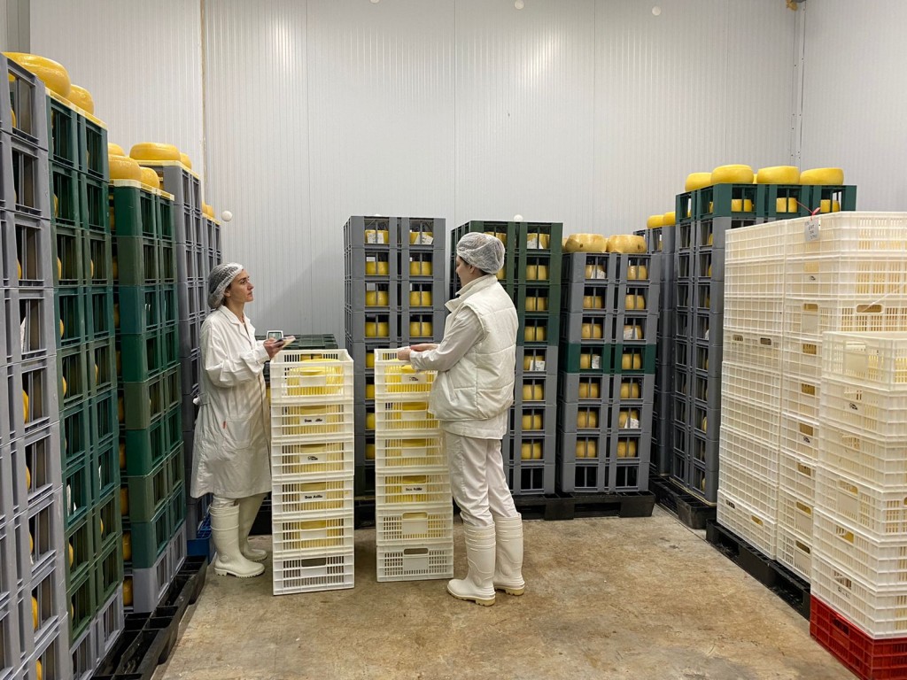 Empresa de Tandil exporta más de dos toneladas de queso a EE.UU.