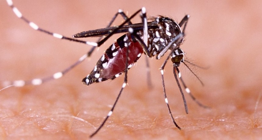 Salud realiza recomendaciones para quienes viajen a países con presencia de Dengue