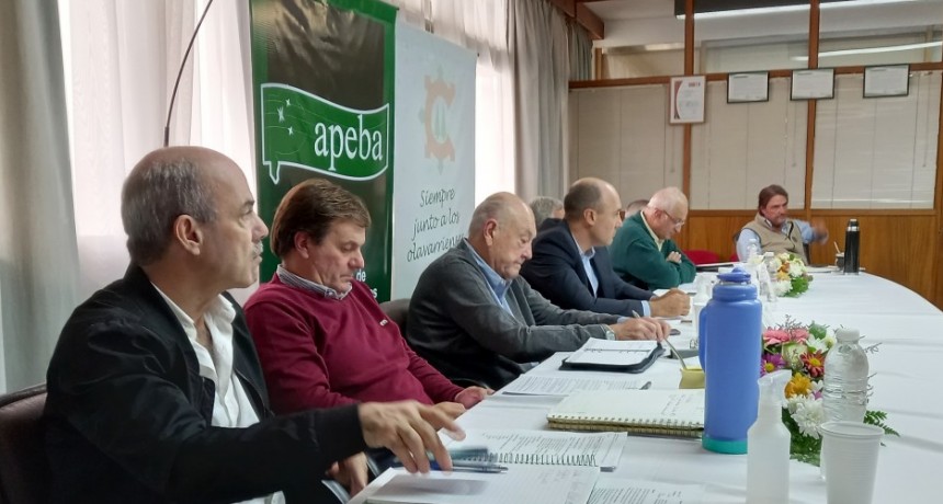 Distribuidores de energía eléctrica se reúnen este jueves en Olavarría