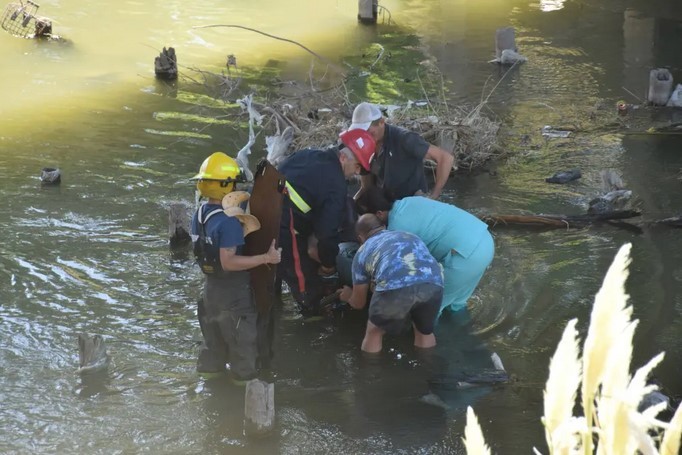 Hombre cayó al arroyo y tuvo que ser rescatado