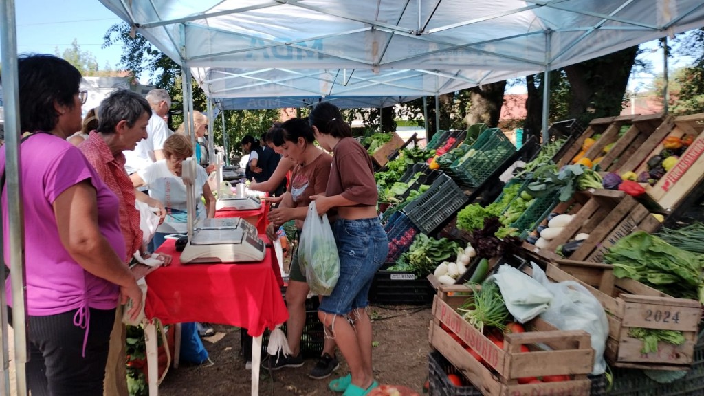 “Valoramos el producto y la circulación de conocimiento”