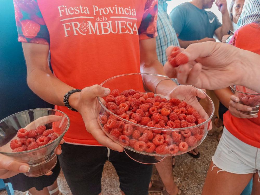 Barker: inició la Fiesta Provincial de la Frambuesa 2025