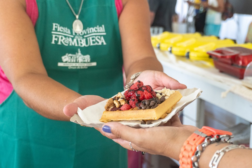 La Fiesta Provincial de la Frambuesa celebró su 22º edición con gran éxito