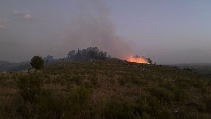 Preocupa el aumento de incendios en Tandil