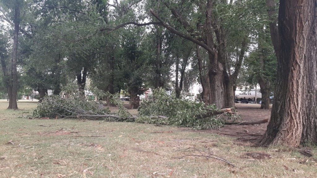 El temporal no dejó registros importantes oficiales, pero si daños