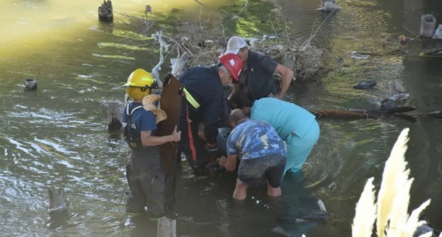 Hombre cayó al arroyo y tuvo que ser rescatado
