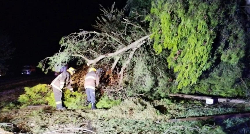 Una tormenta generó destrozos en Líbano