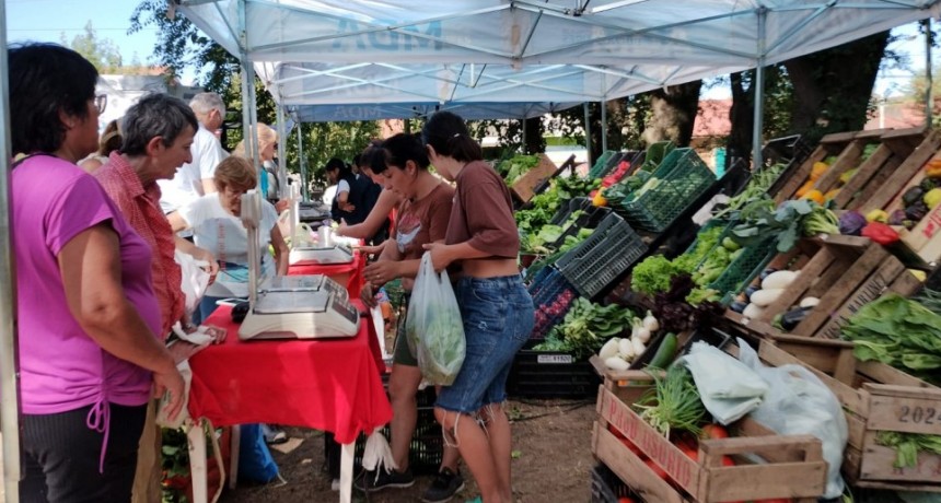 “Valoramos el producto y la circulación de conocimiento”