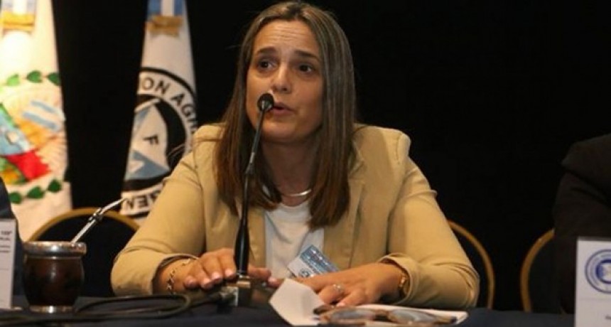 “Las economías regionales están perdiendo mucha competitividad”