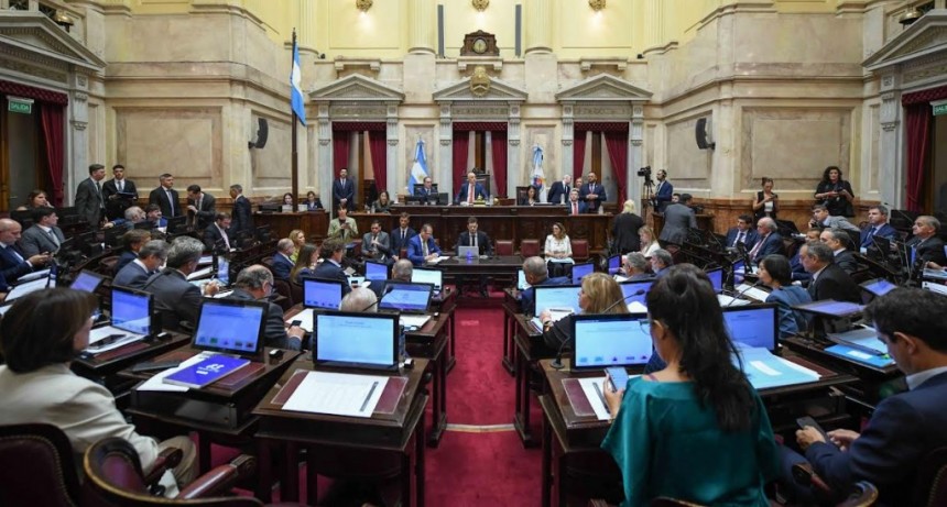 El Senado convirtió en ley la suspensión de las PASO