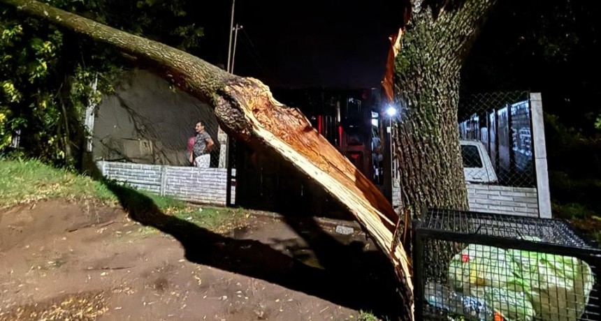 Saladillo padeció una 'tormenta severa'