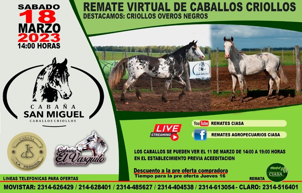 Ciasa S.A. anuncia remate de caballos criollos