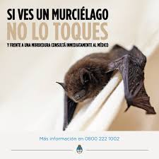 Bloqueo por murciélago con rabia