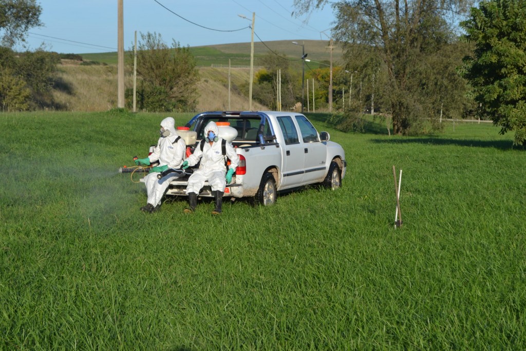 Fumigan espacios públicos en Olavarría