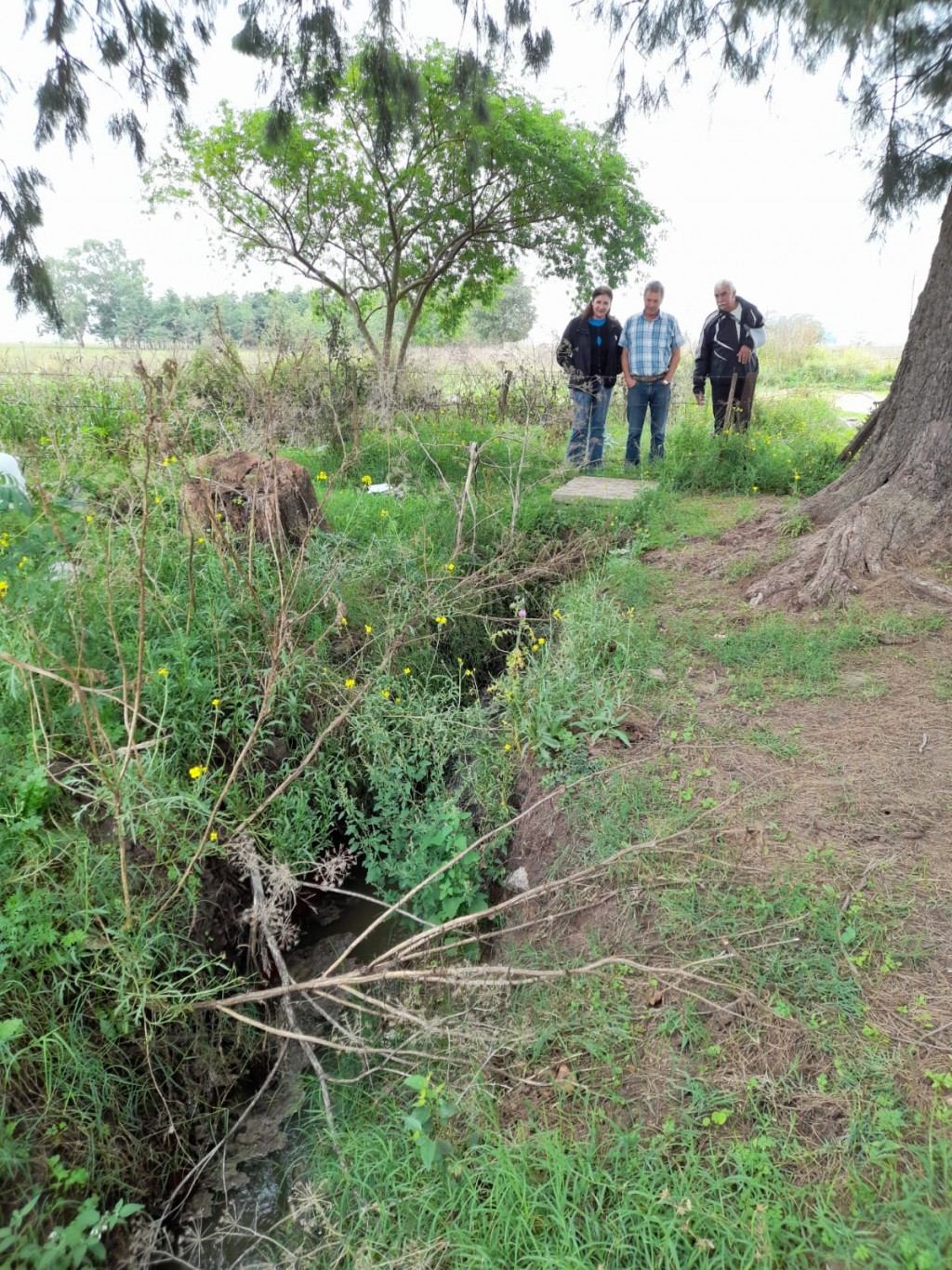 'Los vecinos merecen información precisa sobre lo que está ocurriendo con el arroyo'