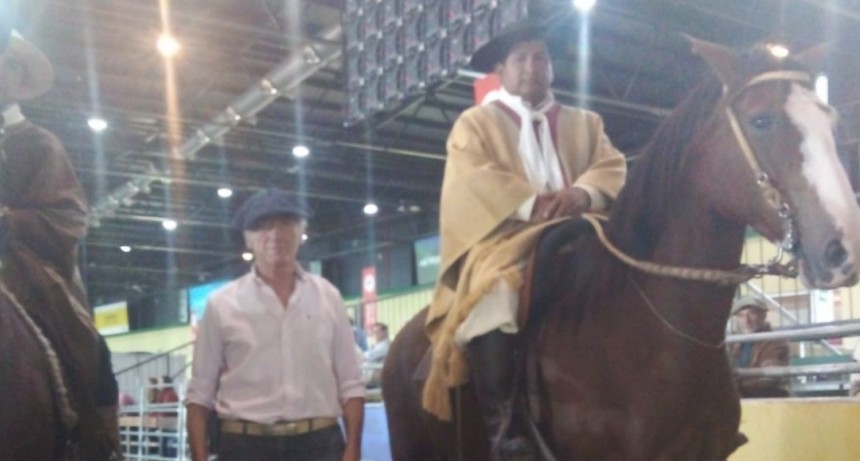 Nuestros Caballos: Ricardo Scopetani, Asociación Criadores de Caballos Peruano de Paso