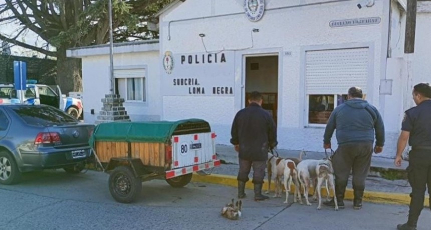 Demoraron dos cazadores de Campana en la zona de Loma Negra