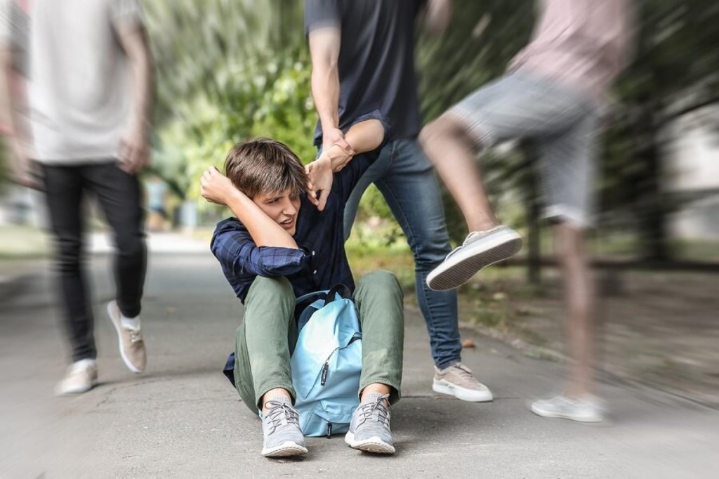 ‘La violencia se ordena socialmente, no se crea’