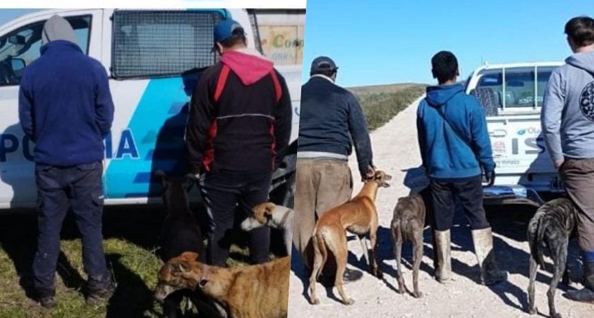 Atraparon cazadores con distinta suerte
