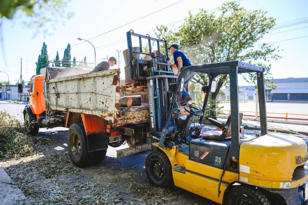 El lunes 19 comienza la recolección de poda