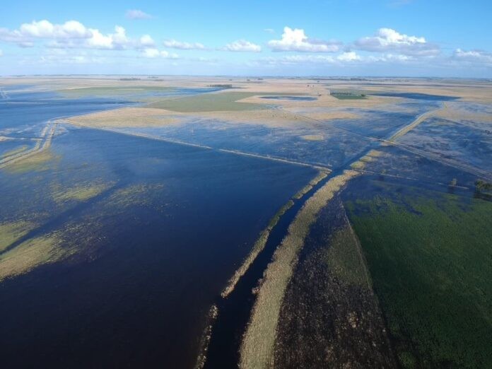 Más de la mitad de la provincia de Buenos Aires sufre excesos hídricos