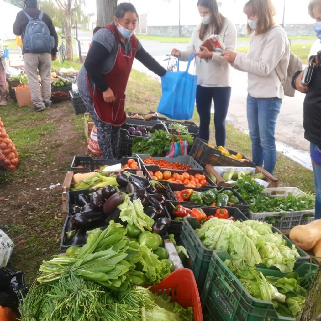 Quinteros de la Agricultura Familiar dejaron de feriar en parques y espacios verdes porque fueron denunciados