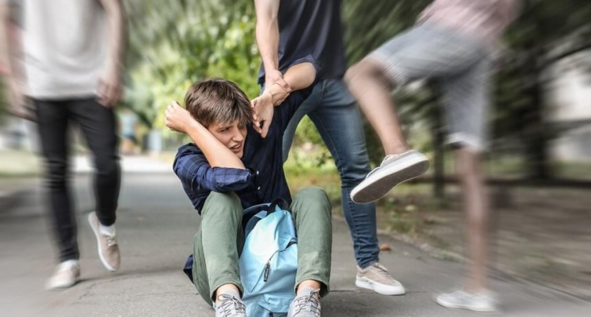 ‘La violencia se ordena socialmente'