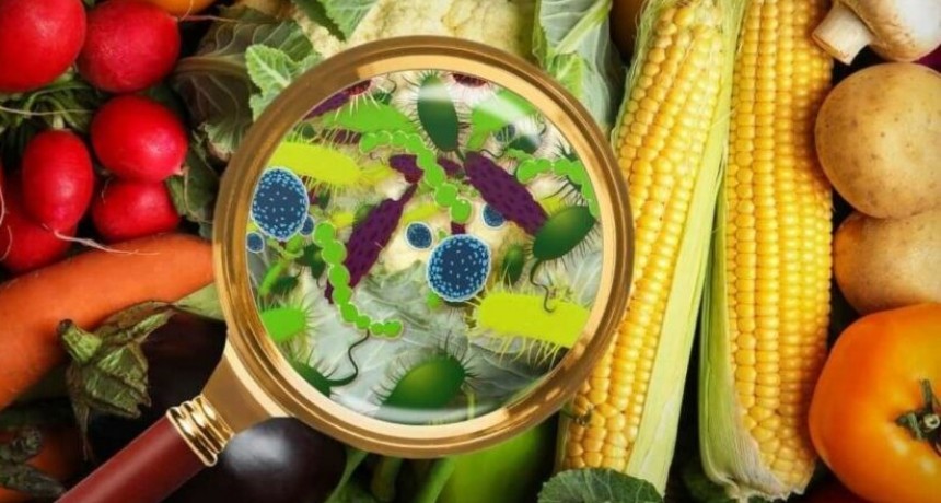 Pautas para evitar contaminación alimentaria