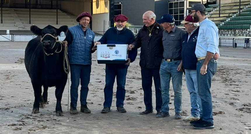 Comenzó la 82° Expo Angus de Otoño en Palermo y Silvio Baiocco la cubrirá para LU32