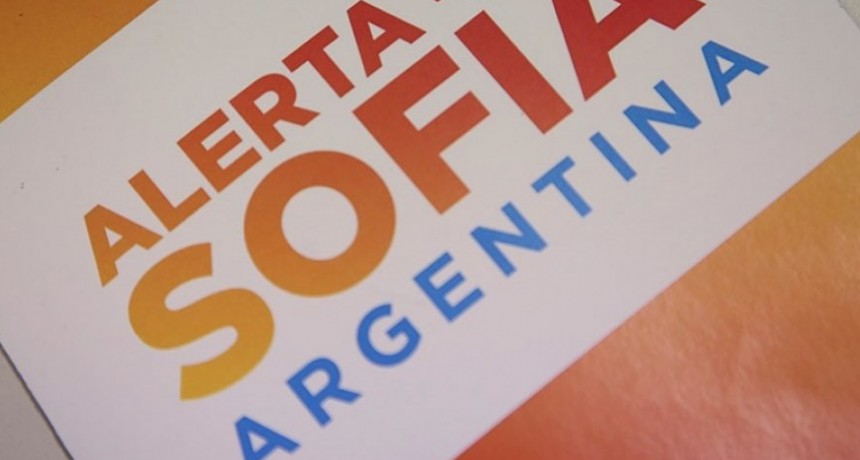 Avanza en el Senado un proyecto para convertir en ley el Programa Alerta Sofía