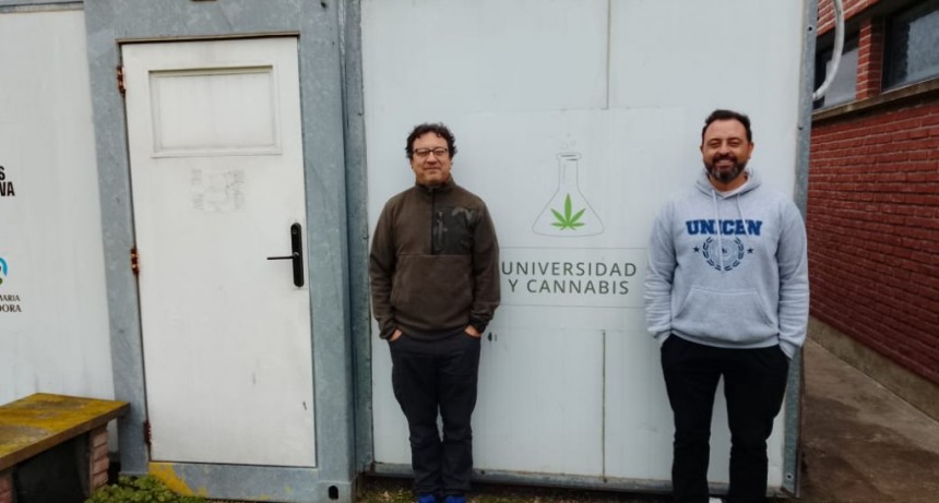 Cannabis medicinal: ‘Está todo parado’