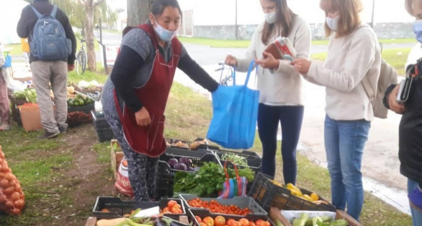 Quinteros de la Agricultura Familiar dejaron de feriar en parques y espacios verdes porque fueron denunciados