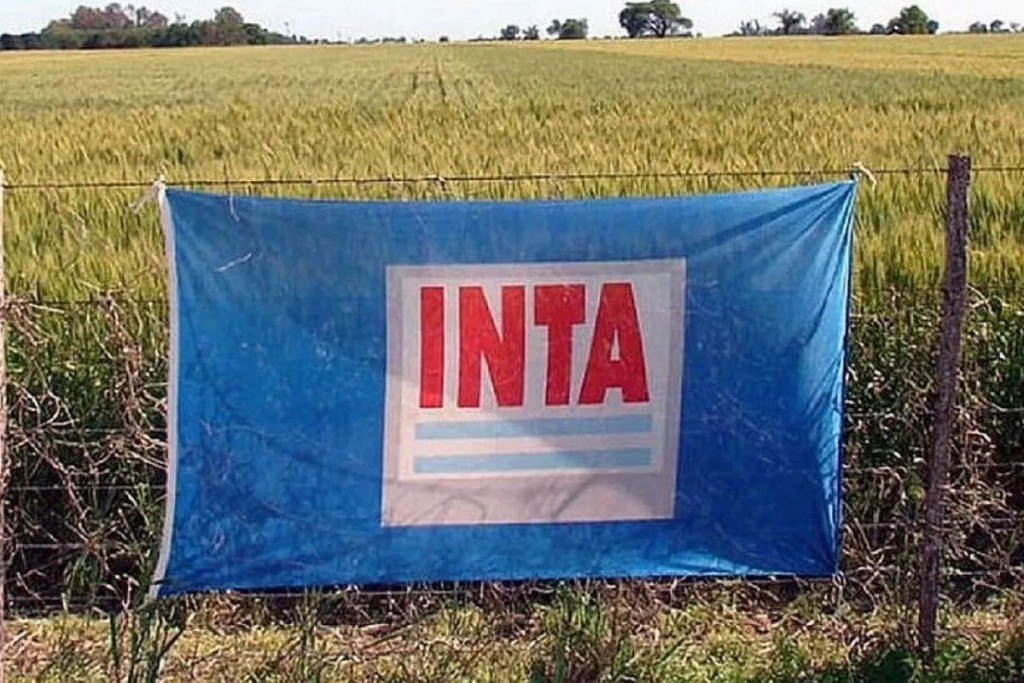 “Con la intervención del Gobierno el INTA pierde el presupuesto propio”