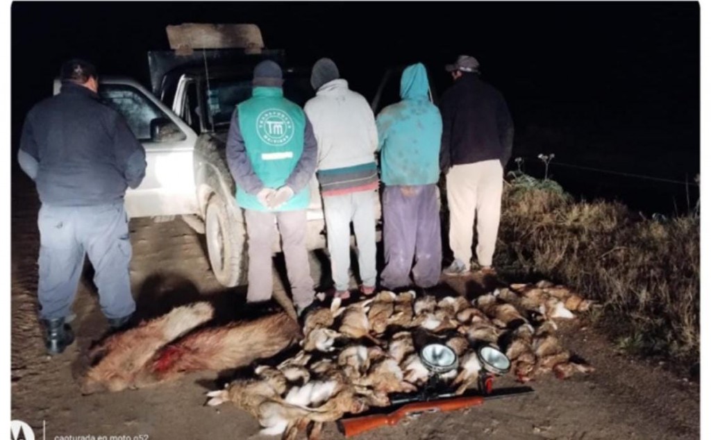 Un grupo de cazadores fue interceptado con más de 20 animales y un arma sin registro