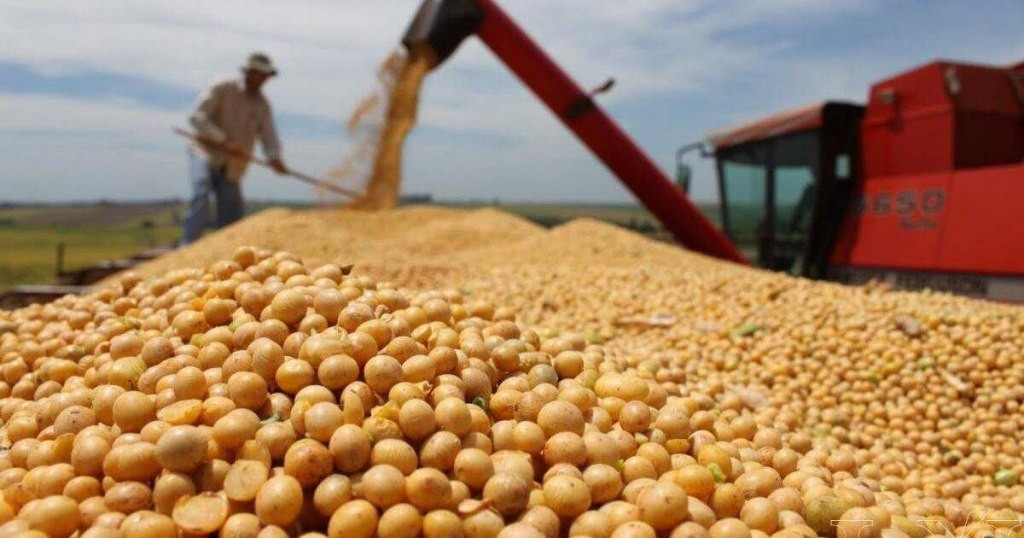No se mantendrá la rebaja de retenciones a la soja, maíz, girasol y sorgo