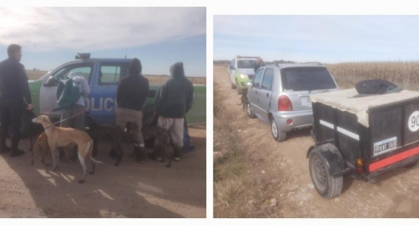 Tres cazadores infraccionados el domingo