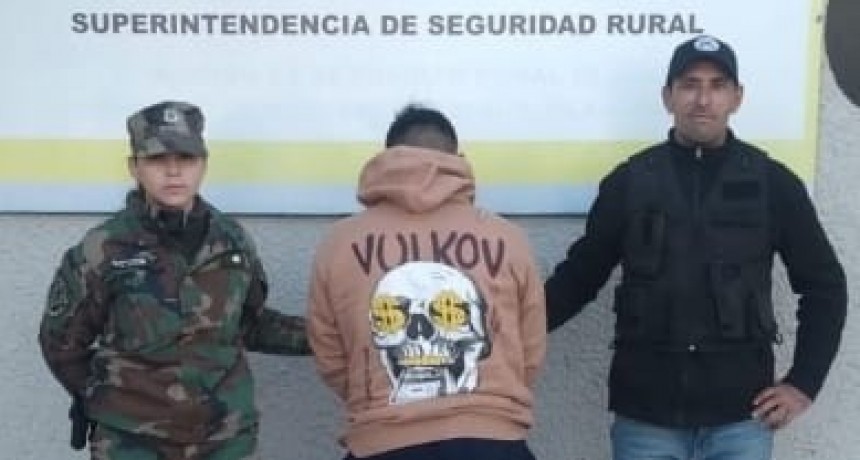 Olavarriense detenido por robar en un campo de Azul