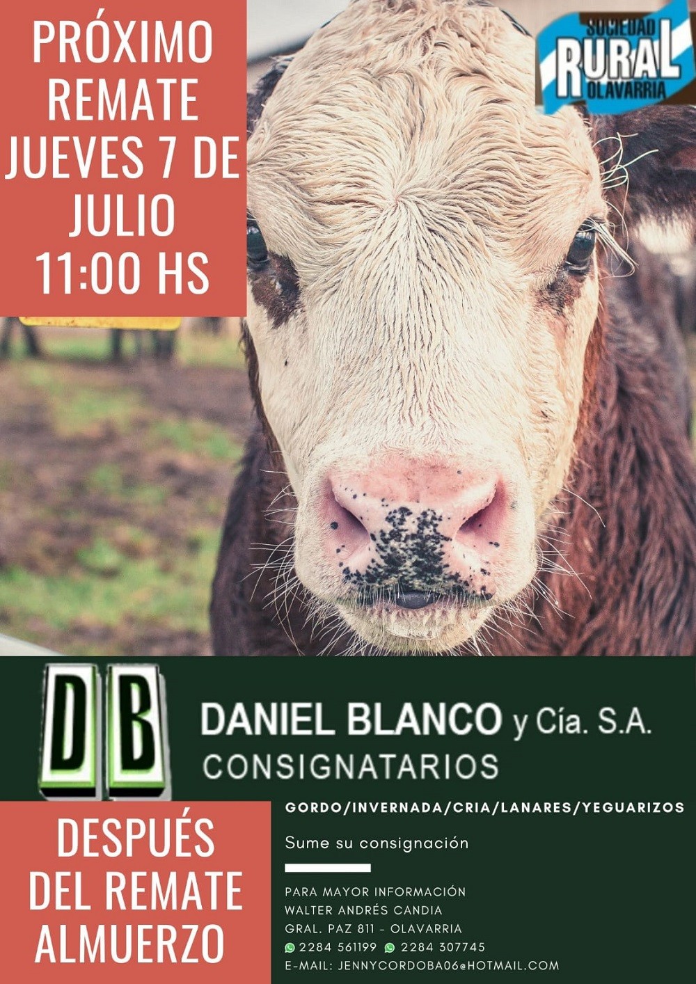 El jueves 7 se realiza un nuevo remate de la firma Daniel Blanco y Compañía