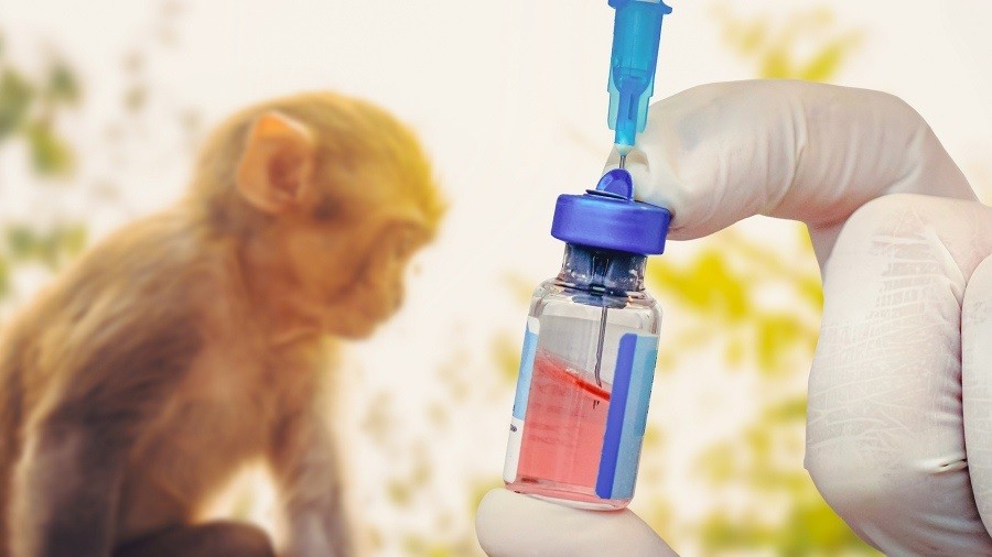 Viruela del mono: la OMS advirtió que la vacuna no alcanza para detener la epidemia