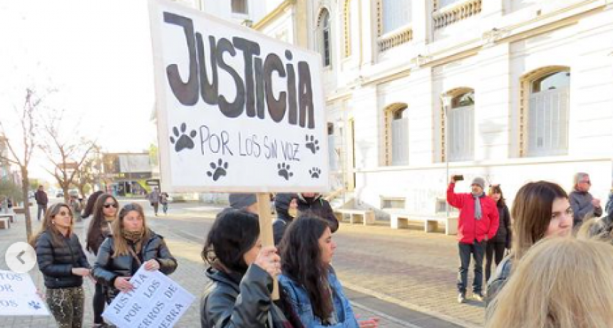 Nueva marcha por los perros envenenados