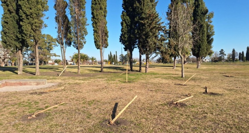 Vandalizaron los árboles recientemente plantados en el Parque Helios Eseverri