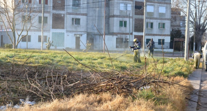 El Municipio concreta tareas de mantenimiento en los barrios Ituzaingó y 104 viviendas