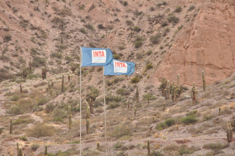 El Gobierno hizo cambios en el INTI, el INTA y disolvió otros organismos