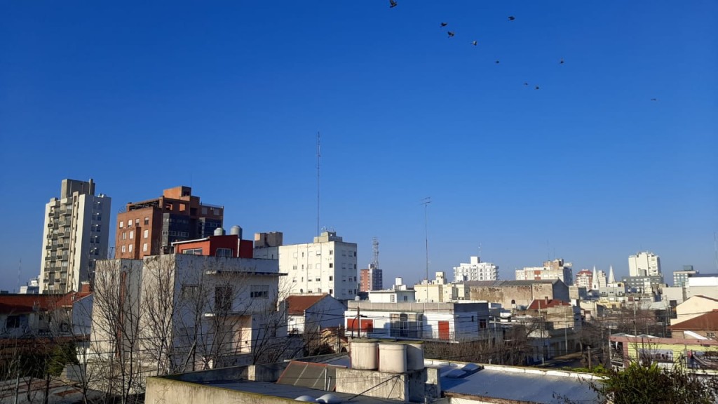 Domingo soleado en la ciudad