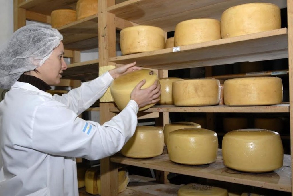 El queso de Tandil fue elegido el mejor del país