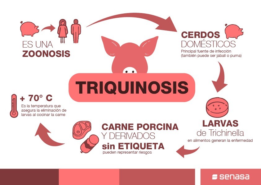 Más brotes de Triquinosis en la Provincia