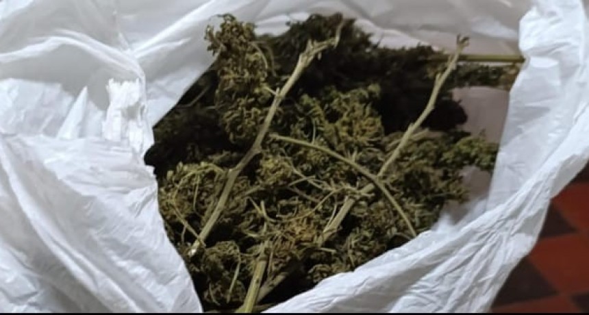 Secuestran algunos gramos de marihuana en un allanamiento