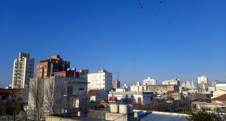 Domingo soleado en la ciudad