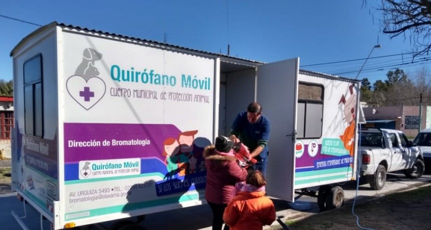 Desde este miércoles el Quirófano Veterinario Móvil atenderá en San Vicente